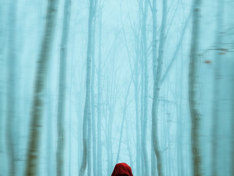 Trails Carolina Investigation