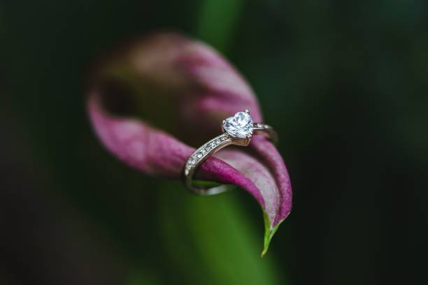Lily Arkwright Promise Rings That Bring Meaning to Every Moment